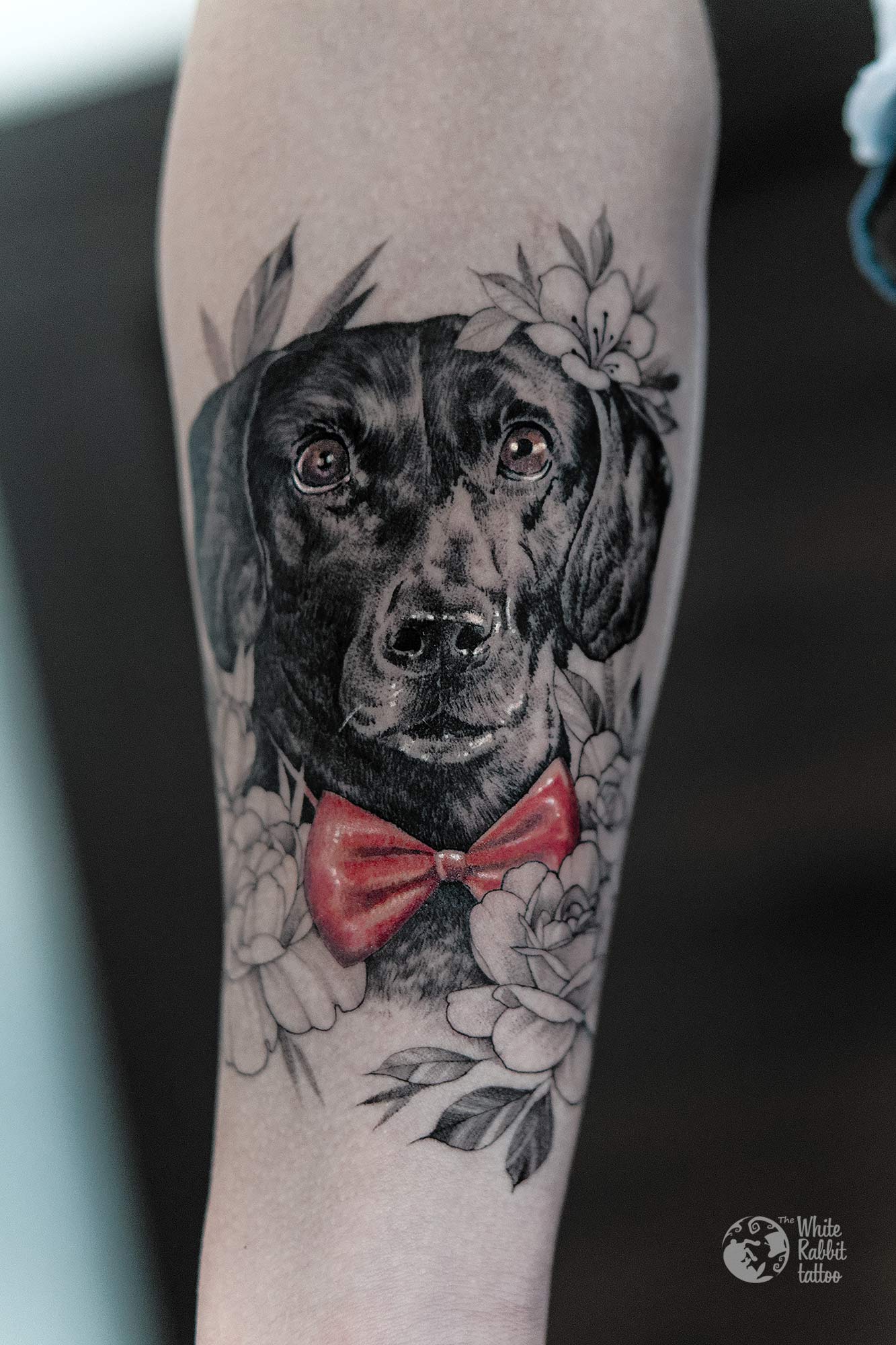 Tatuaż z psem