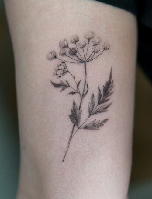 Tatuaż polny kwiat